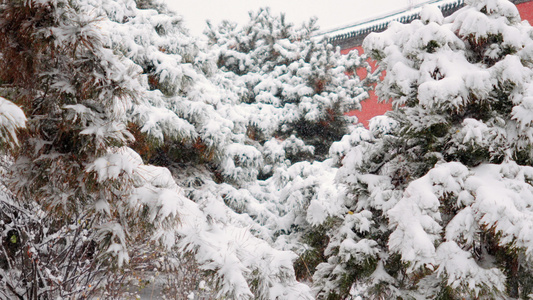 4k雪景升格视频