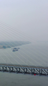 湖北荆州长江公铁大桥铁路桥视频