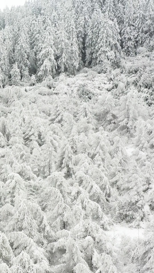 航拍仙女山景区冬季冰天雪地5A景点103秒视频