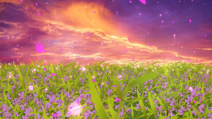 唯美紫色动态花海大气粒子上升背景视频素材30秒视频