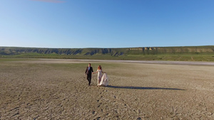 新郎和新娘行走干盐湖6秒视频