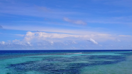 由蓝海绘制的完美海岸海滩野生生物的空中无人驾驶飞机视频