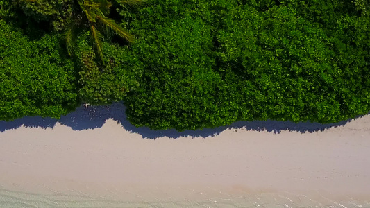 白沙背景蓝色泻湖海岸海滩野生动物的无人机空中海景视频