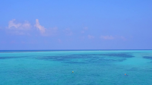 蓝海白沙背景下美丽海滨海滩野生动物的无人机旅游视频