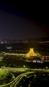 高清竖屏延时航拍南宁地标建筑夜景灯光视频