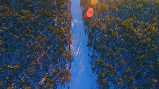 森林中的传输塔空森林景观电力视频