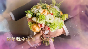 唯美浪漫婚礼AE模版42秒视频