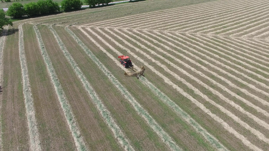 空中录影带一个田野用拖拉机收割干草视频