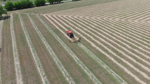 空中录影带一个田野用拖拉机收割干草8秒视频