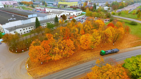 建筑道路的秋光工业建筑附近的秋光道路视频