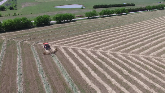 空中录影带一个田野用拖拉机收割干草视频