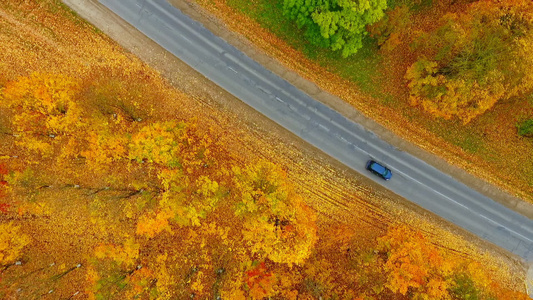 秋季公路汽车的天空景象视频