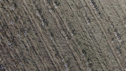利用已收获的棉花田进行空中飞行飞越视频