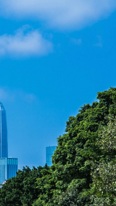 笔架山公园深圳最高楼平安大厦城市风光视频
