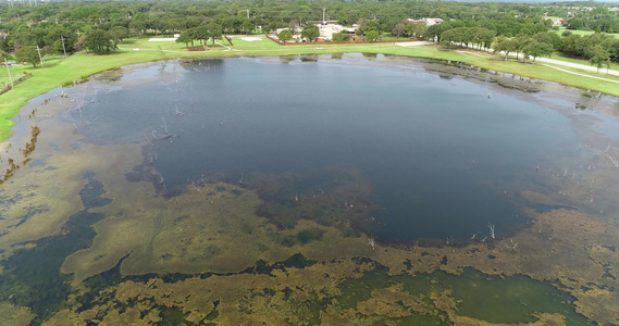 KrugervilleTexas林地公园的池塘空中视频