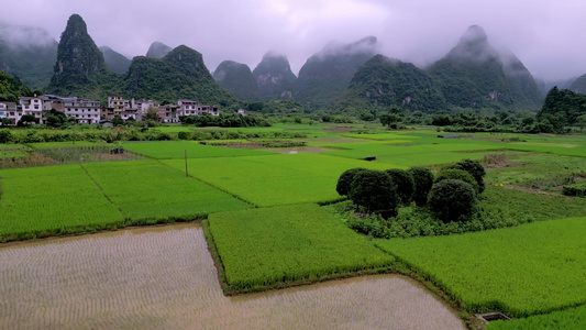 航拍雨后云雾里桂林喀斯特田园风光视频