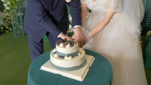 婚礼现场新娘和新郎一起切蛋糕13秒视频
