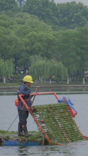 城市湖上劳动工作清理水草净化水质的环保工人素材劳动素材54秒视频