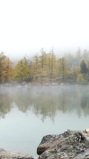航拍高原海子秋景风光视频尼玛石48秒视频