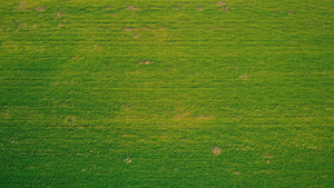 农业田间空中视图19秒视频