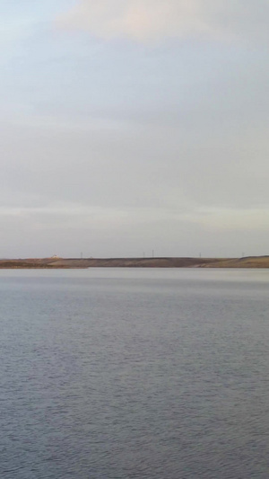 航拍不知名的水鸟在湖中捕鱼嬉戏78秒视频