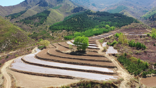 航拍乡村梯田  农村土地视频