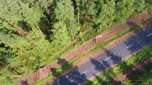 无人驾驶飞机飞越森林道路和绿色稠密森林视频