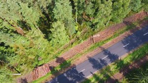 无人驾驶飞机飞越森林道路和绿色稠密森林55秒视频
