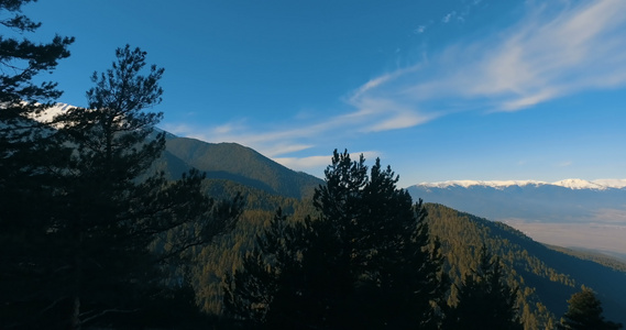 从无人机摄像头的空中观察飞越冬季森林的松树顶端山地视频