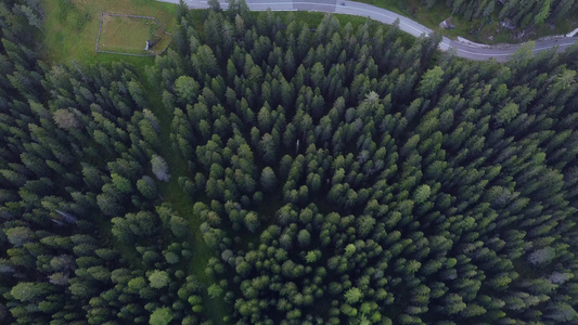 飞过青绿的迷雾森林视频