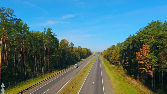 在森林中高速公路上驾驶的空中观视汽车视频