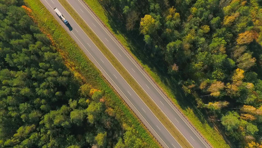 树与树之间的公路卡车在森林公路上行驶的鸟瞰图视频