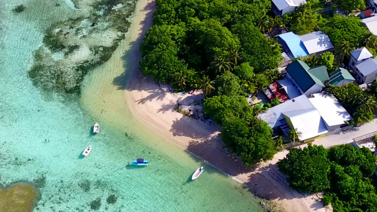 白沙背景蓝海热带旅游海滩野生动物空中无人机全景视频