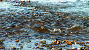 普鲁特河的河水16秒视频