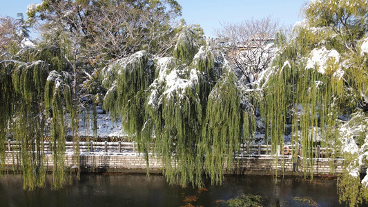 航拍冬天雪景视频