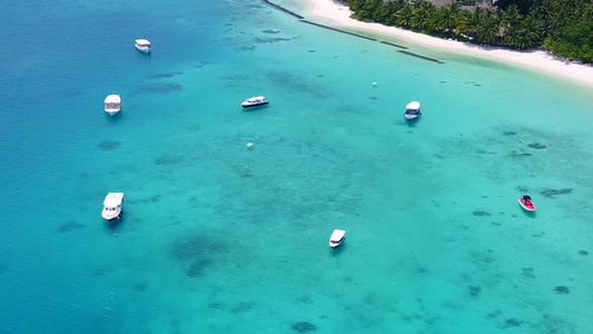 蓝环礁和白色沙滩背景的天堂海岸海滩野生生物空中无人驾驶视频