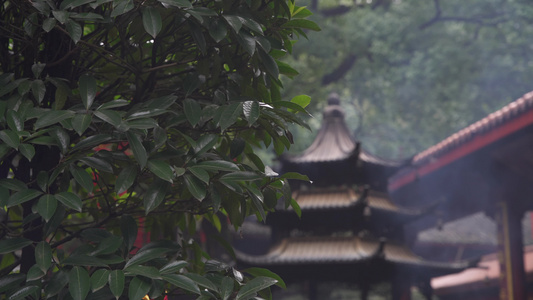 浙江杭州上天竺法喜禅寺香炉烟雾和鸟4K风景视频视频