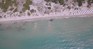 热带海滩希腊萨尼海滩度假村的爱琴海碧蓝海水的鸟瞰图15秒视频