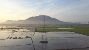 空中飞越稻田电塔上空16秒视频