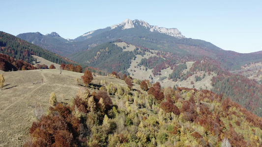 秋天山林全景后面有岩石的采拉罗马质谱视频