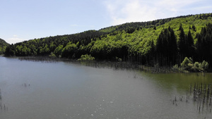 Cuejdel湖是30年前出生的在河上坠落今天是欧洲27秒视频