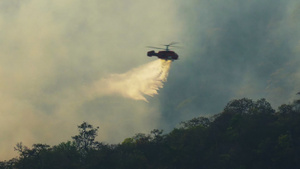 直升机在森林着火时向森林浇水10秒视频