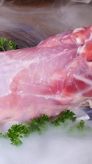 散养大兔子兔肉食材39秒视频