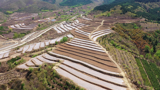 航拍乡村梯田  农村土地视频