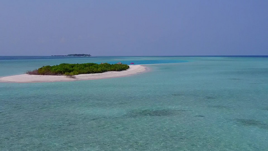 以透明的海洋和白色沙滩背景绘制的热带海岸海滩野生生物视频