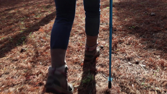 徒步旅行的女人走在森林中脚步特写视频