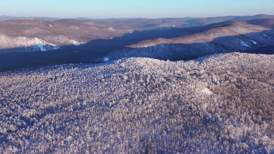 航拍大兴安岭林海雪原雾凇红柳树景象视频素材视频