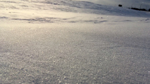 飘雪特写冬季背景上的雪风暴风雪10秒视频