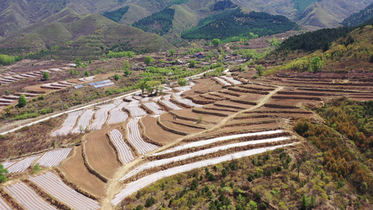 航拍乡村梯田  农村土地视频