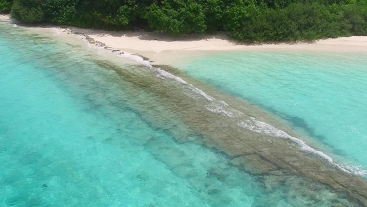 通过浅海和白沙底浅海对宁静海岸海滩野生生物进行空中视频